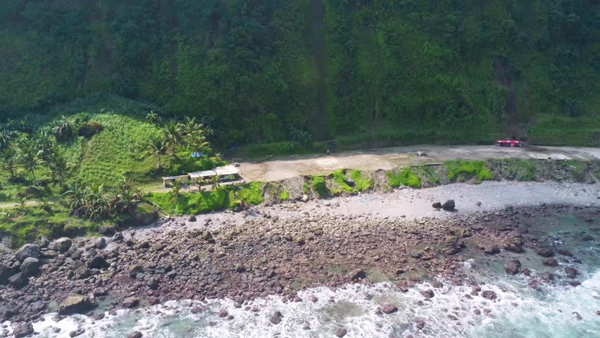 Aerial view of a remote rocky beach meeting the edge of a forest.