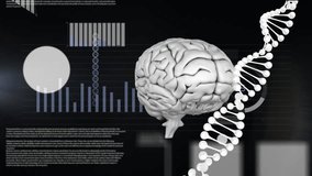 Animation of digital brain and dna strand over financial data processing on black background. Science, medicine, finances and digital interface concept digitally generated video. - Powered by Shutterstock - Get 15% off with code: PIKWIZARD15