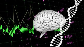 Animation of digital brain and dna strand over financial data processing on black background. Science, medicine, finances and digital interface concept digitally generated video. - Powered by Shutterstock - Get 15% off with code: PIKWIZARD15