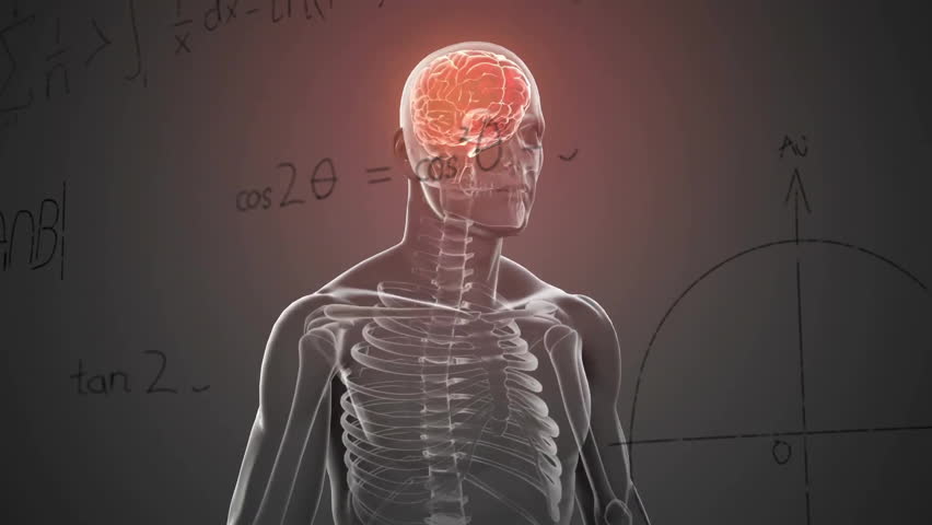 Animation of mathematical data processing over human brain and body on grey background. Global science, connections, computing and data processing concept digitally generated video. - Powered by Shutterstock - Get 15% off with code: PIKWIZARD15