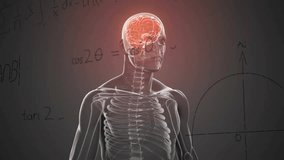 Animation of mathematical data processing over human brain and body on grey background. Global science, connections, computing and data processing concept digitally generated video. - Powered by Shutterstock - Get 15% off with code: PIKWIZARD15