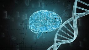 Animation of spinning brain over binary coding and dna strand. Global science and digital interface concept digitally generated video. - Powered by Shutterstock - Get 15% off with code: PIKWIZARD15