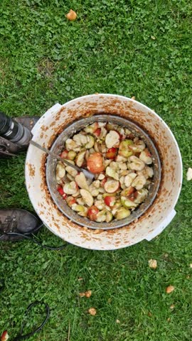 Making homemade cider juice from fallen apples pressing in a hand press with a screw children help to turn the handle cider flows out of the pulp through a sieve the pulp is thrown to the compost