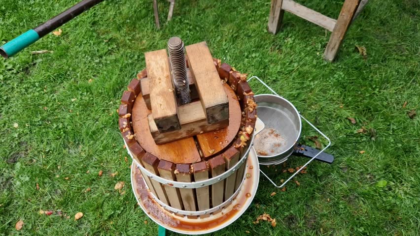 Making homemade cider juice from fallen apples pressing in a hand press with a screw children help to turn the handle cider flows out of the pulp through a sieve the pulp is thrown to the compost