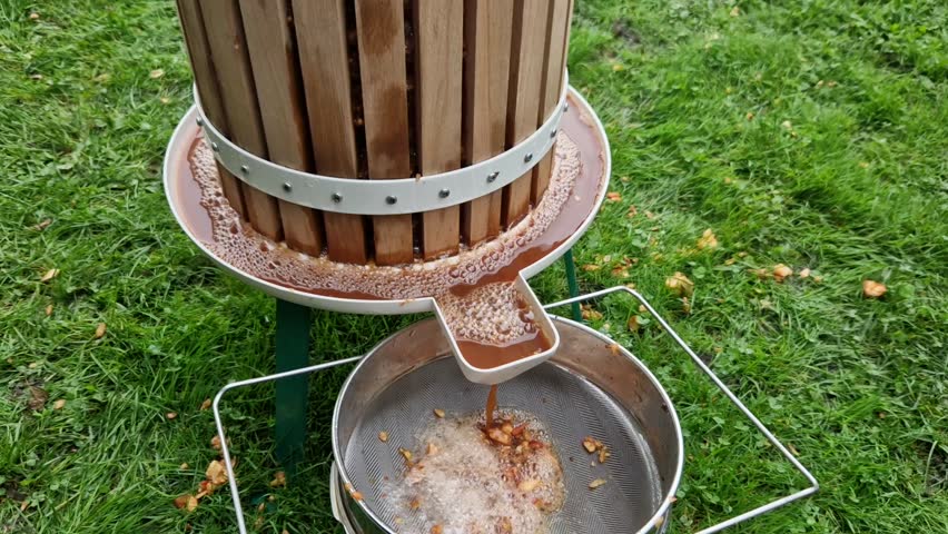 Making homemade cider juice from fallen apples pressing in a hand press with a screw children help to turn the handle cider flows out of the pulp through a sieve the pulp is thrown to the compost