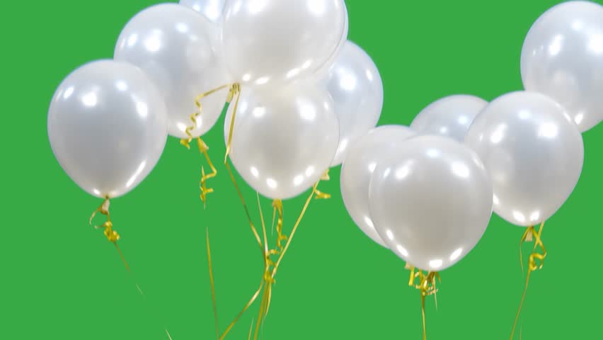 white then blue then red balloons move on a green screen