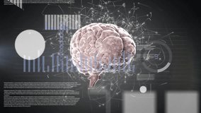 Animation of financial data processing over digital brain on black background. Global science, computing, finances and digital interface concept digitally generated video. - Powered by Shutterstock - Get 15% off with code: PIKWIZARD15