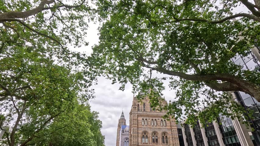 Visitors at the Natural History Museum, London