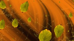 Animation of green leaves falling over orange light and network of connections. Nature, seasons, autumn, data, connection and communication, digitally generated video. - Powered by Shutterstock - Get 15% off with code: PIKWIZARD15