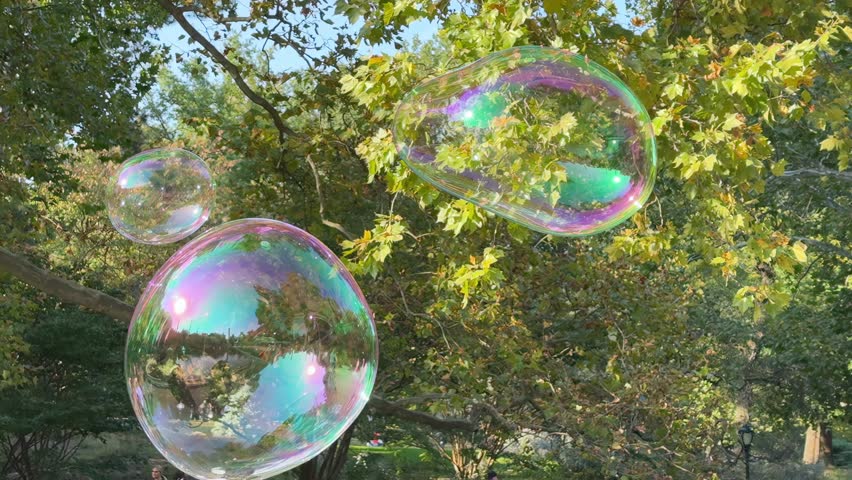 A close-up slow motion view of people popping Central Park floating bubbles. The bubbles reflect shimmering colors, creating a joyful and playful atmosphere. Shot at 120fps.  	