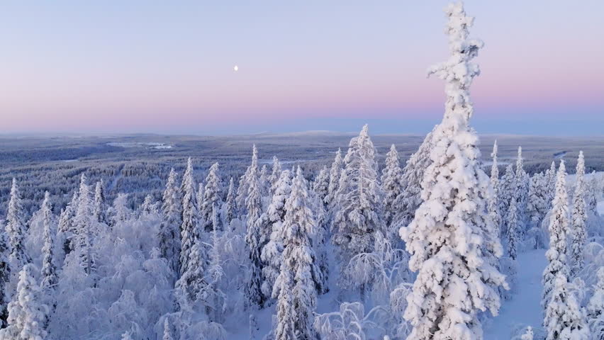 Arctic forest, snowy fells and polar darkness colors in Lapland - Drone shot