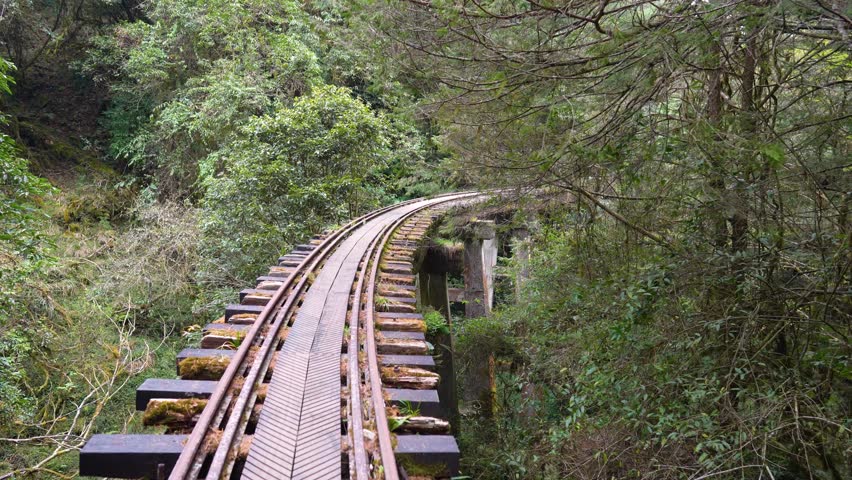 walking on railway in the forest