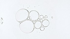 Liquid Fluid Gel or Serum in With Pipette Molecule Bubbles Drips on a White Surface. Dropper for Cosmetic Fluid With Bubbles. Natural Organic Cosmetics, Medicine. - Powered by Shutterstock - Get 15% off with code: PIKWIZARD15