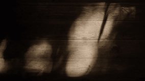 Komorebi light swaying tree leaves shadows on a wooden floor of the house - Powered by Shutterstock - Get 15% off with code: PIKWIZARD15