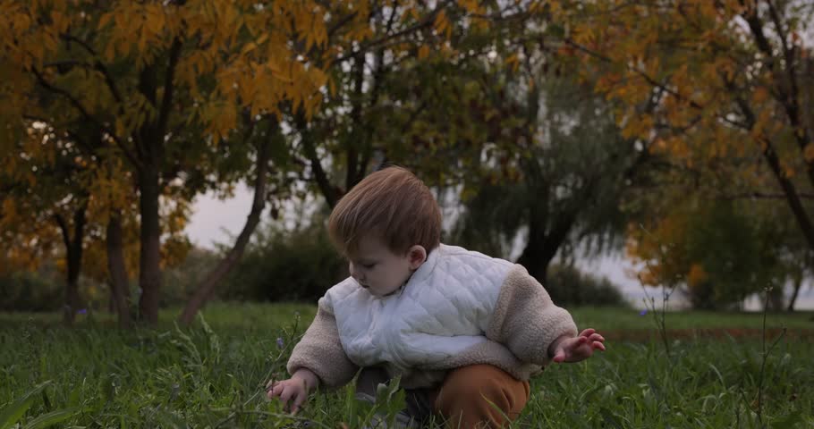 Slow motion, boy eating flower at the autumn day in the park