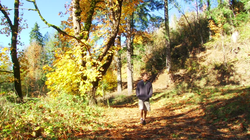 Model released man walks up forest path full of fallen leaves in Oregon forest