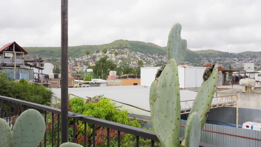 Rainy season cloudy clouds terrace view cactuses hills bakcground travel Mexico documentary sad survival hunger poor poverty third world countries vivid colors static shot  sstkMexicanCulture reality