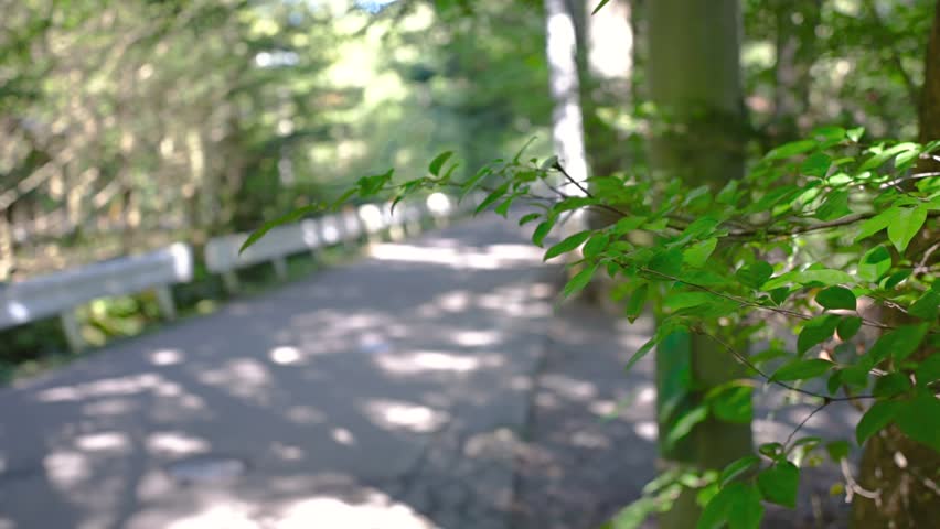 family enjoying cycling in Karuizawa
