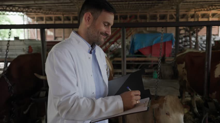 Veterinarian making rounds in a barn, examining cows and taking notes on a clipboard. Focused on ensuring the health and well being of each animal during the checkup