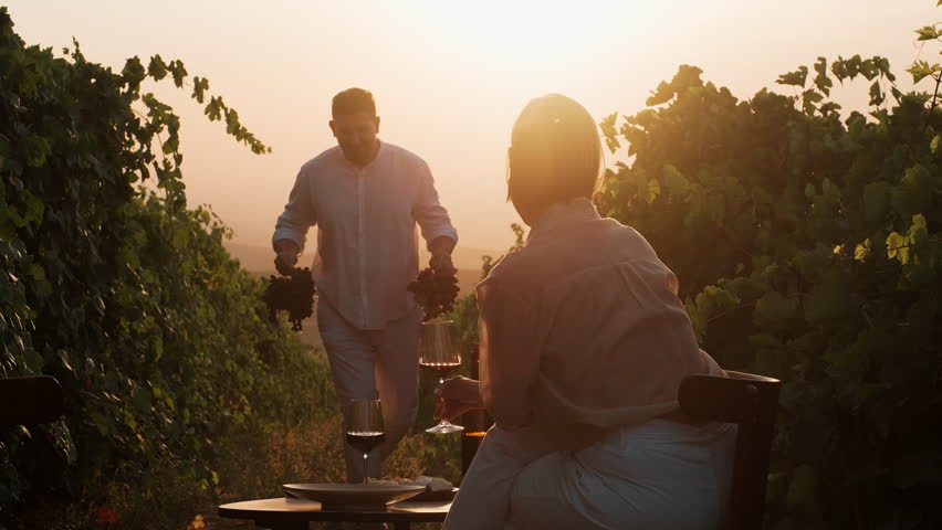 Couple dating in nature at sunset, having picnic, drinking wine in vineyards, enjoying romantic date. Attractive man carries grapevines. Family weekend together. Grape harvest