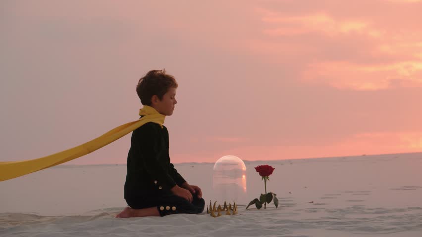 A young boy dressed as the Little Prince kneels in a desert at sunset, beside a red rose protected by a glass dome. The scene evokes themes of innocence, adventure, and wonder in a peaceful, fantasy