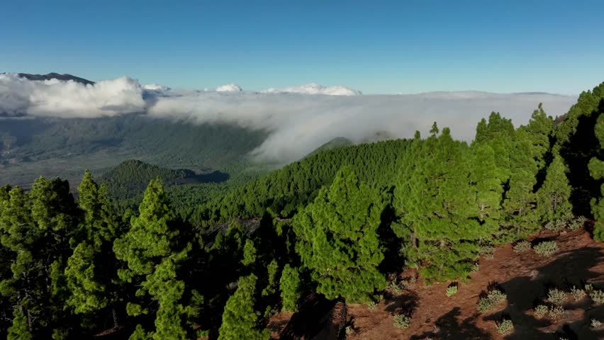 Aerial drone view of the landscape of La Palma, Canary Islands, Spain