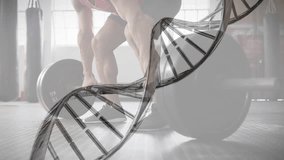 Animation of dna strand over caucasian man lifting barbell on gym. Sports, active lifestyle, science and digital interface concept digitally generated video. - Powered by Shutterstock - Get 15% off with code: PIKWIZARD15