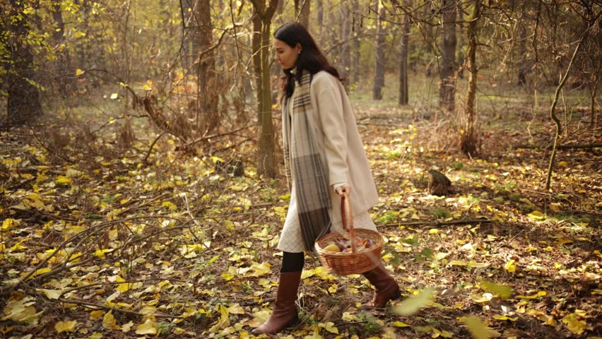 A young woman with long hair walks through an autumn forest, collecting mushrooms in a basket in slow motion. Perfect for conceptual promos, nature-themed advertisements, and serene lifestyle projects