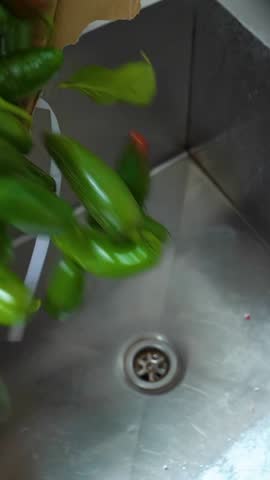 Making red chili and green jalapeno sauce. Hot jalapeno chili sauce. Making jalapeno sauce. Vertical video.