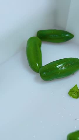 Making red chili and green jalapeno sauce. Hot jalapeno chili sauce. Making jalapeno sauce. Vertical video.