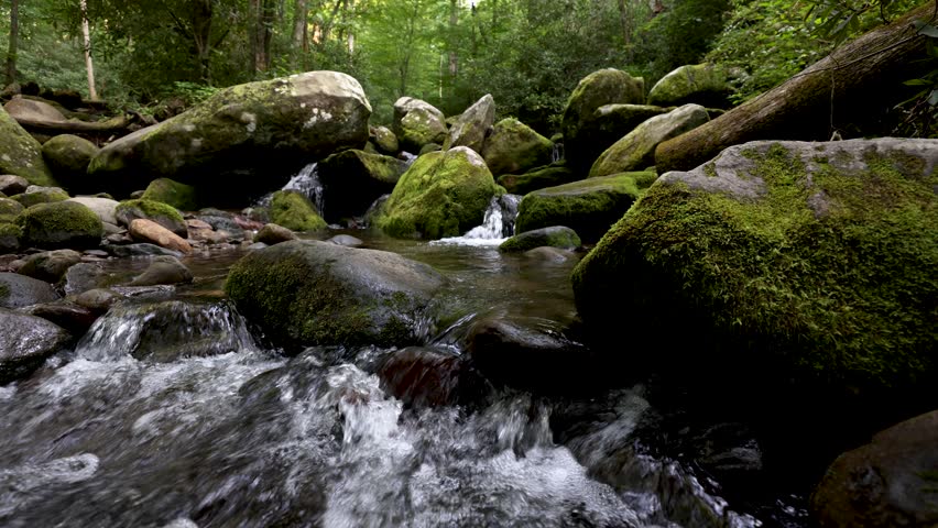 Waterfall in Great Smoky Mountain National Park