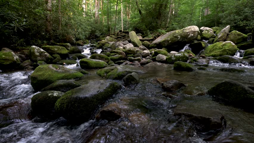 Waterfall in Great Smoky Mountain National Park