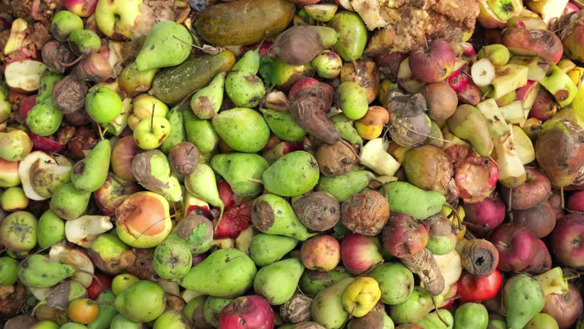 Food Waste. Compostable food scraps. Domestic organic waste for compost from fruits and vegetables. Recyclable materials. Separate waste collection. Compost bin with organic waste