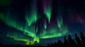 Beautiful Northern Lights Animation.Green Lights Aurora Borealis in Norway,Canada,Finland,Iceland and Sweden. Polar weather and blue starry sky on a cold night.Mountain landscape motion Background 4k
 - Powered by Shutterstock - Get 15% off with code: PIKWIZARD15