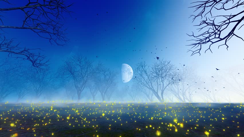 Tort on the dark terror forest of the fireflies flying