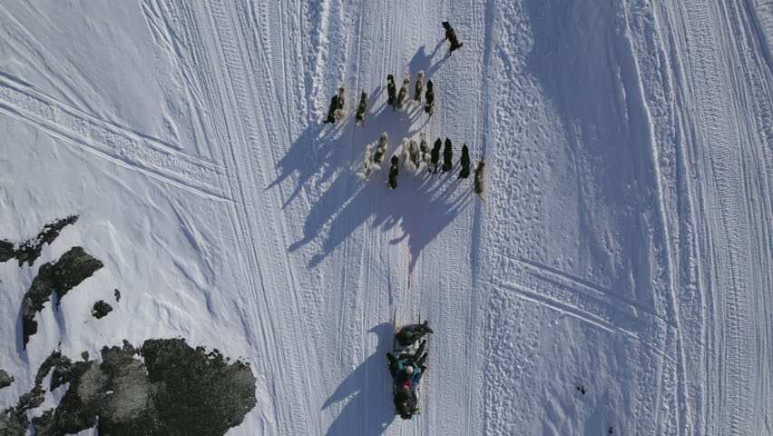 Top view of Greenland dogs pulling a sled with passengers across a vast, snow-covered landscape