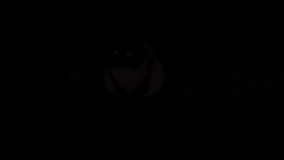 the cat's eyes glow at night, the cat is sitting in the dark and its red eyes are glowing, creepy video - Powered by Shutterstock - Get 15% off with code: PIKWIZARD15