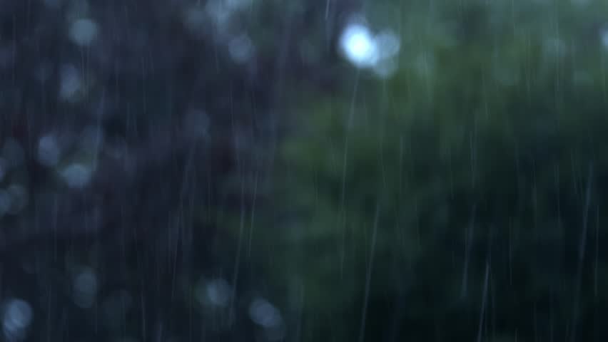 Blurred scene of rainfall and trees swaying in wind. Handheld