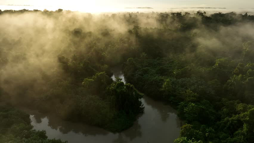 Aerial view of lush forest and serene river at dawn with mist and sunshine, Siberut Island, Indonesia.