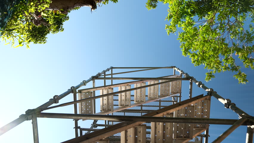 Looking up at the scaffolding