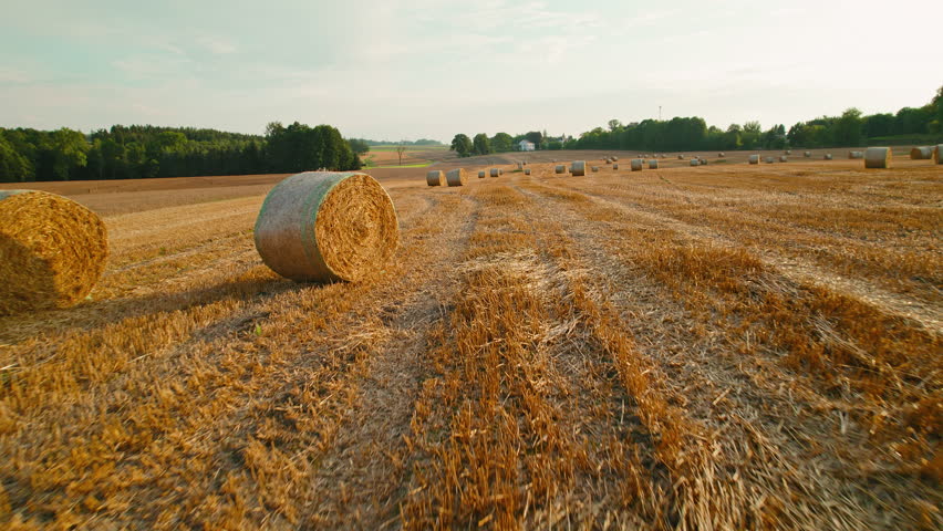 Hay bale in the foreground on a harvested field, with soft golden light illuminating the surrounding landscape.