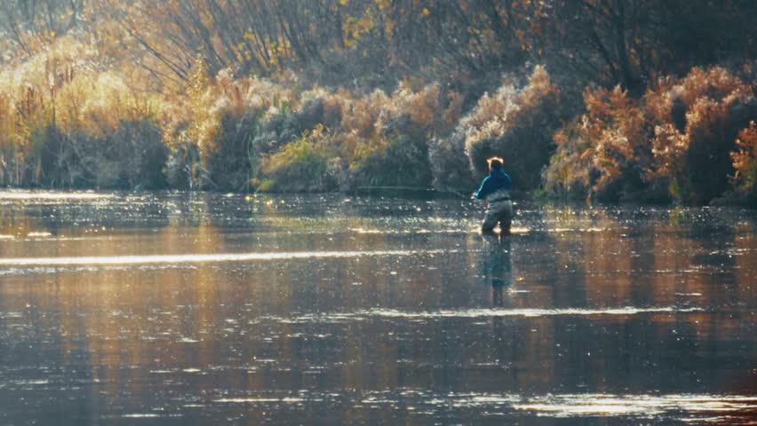 Autumn fly fishing. Fish leaps out of the water behind the fisherman
