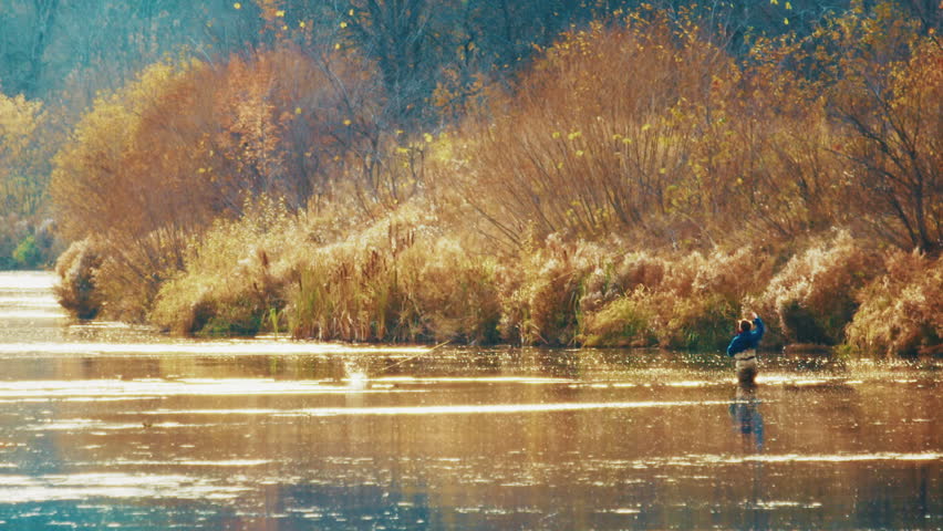 Autumn fly fishing. Fisherman fights with the fish on the autumn river
