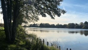  forest landscapes, forest, wilderness, plants, natural landscapes, nature, night, abstract nature, mountains, sunbeams,, clearing, sunbeam - Powered by Shutterstock - Get 15% off with code: PIKWIZARD15