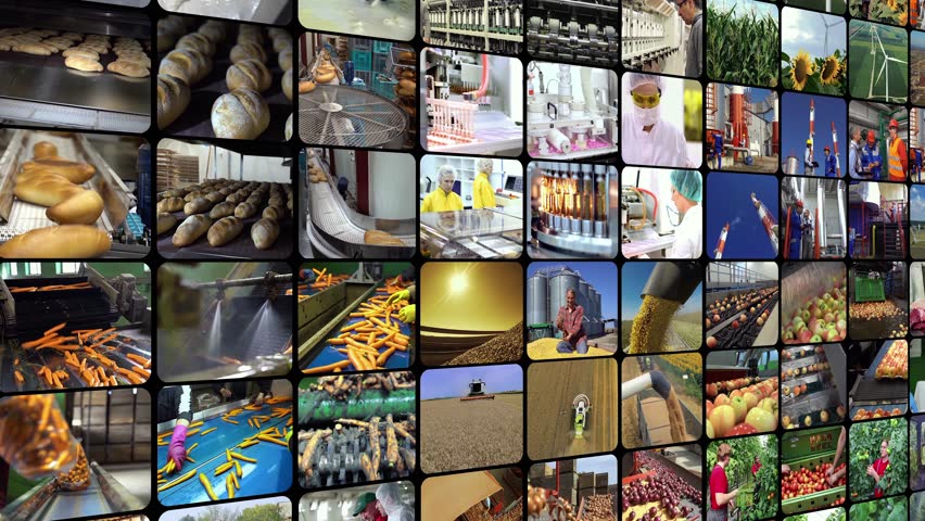 Industrial Production - Multi Screen Video. Business Industries. Workers Of Different Professions At Work. Workforce Productivity. Oil and Gas Industry. Agriculture. Energy Industry. Food Industry.