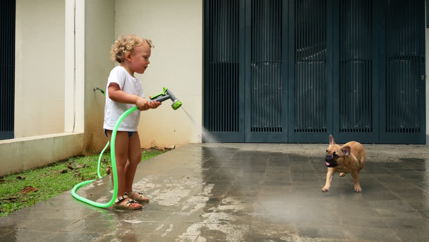 Little boy is earnestly washing driveway of suburb house with garden hose, his serious task occasionally hindered by mischievous and adorable puppy. Pup runs around, making funny jumps