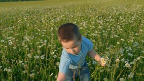Beautiful Preschool Child In A Flower Field On Sunset. Little Boy Picks Up Flowers Arranging A Bouquet. Close Up. - Powered by Shutterstock - Get 15% off with code: PIKWIZARD15