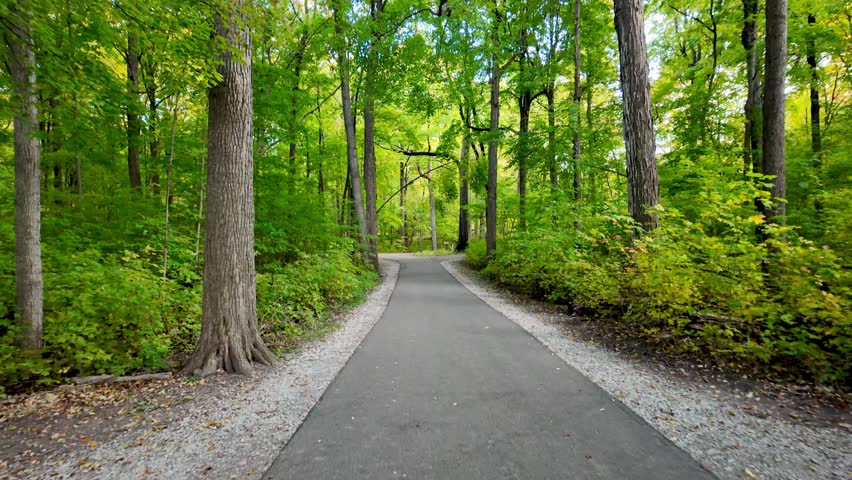 Tall early autumn time trees by the path in Mayberry state park Novi, Michigan.