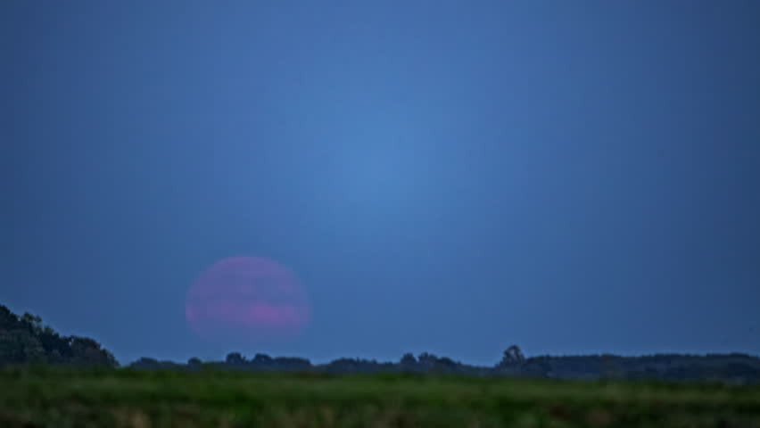 Timelapse of Pink Full Moon Rising Over the Dark Tree Line During a Clear Night