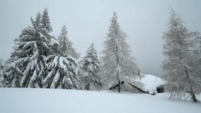 Snow-covered mountain cabin in the Alps of ROSSWALD in Switzerland - Relaxing Winter Szene - static shot - Powered by Shutterstock - Get 15% off with code: PIKWIZARD15